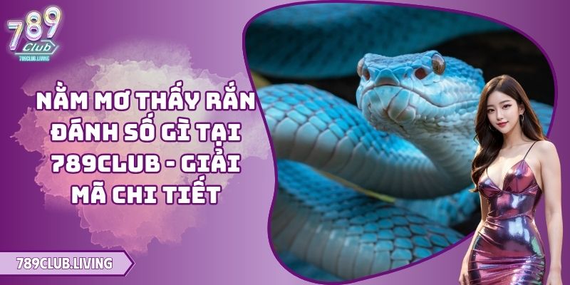 Nằm Mơ Thấy Rắn Đánh Số Gì Tại 789Club - Giải Mã Chi Tiết 