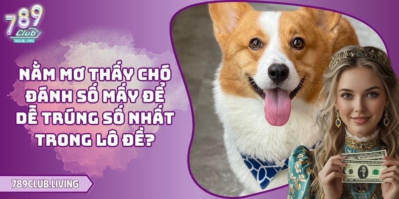 Nằm Mơ Thấy Chó Đánh Số Mấy Để Dễ Trúng Số Nhất Trong Lô Đề?