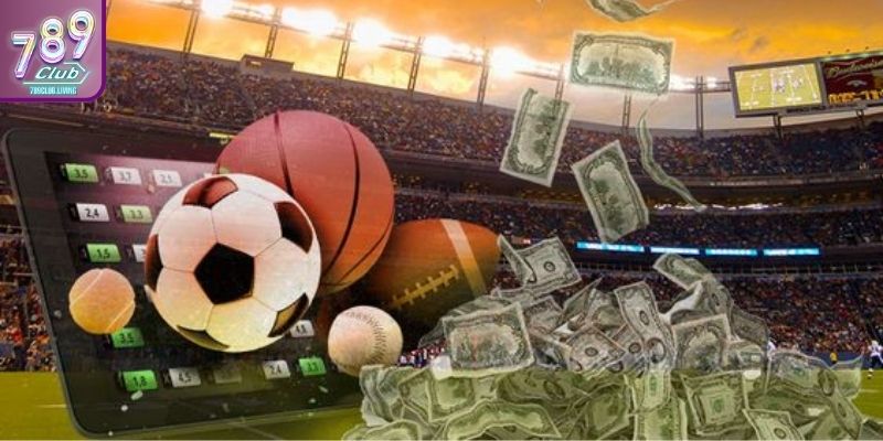 Hãy theo dõi tất cả thông tin trước khi bước vào một trận đấu sân cỏ